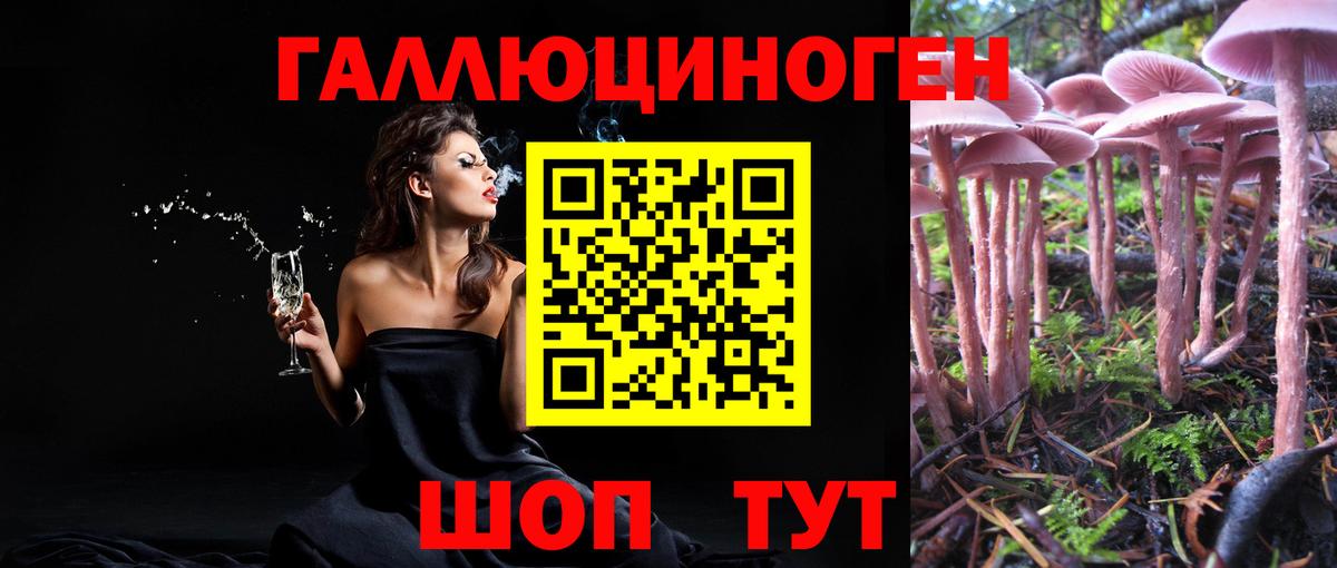Йошкар-Ола  Псилоцибиновые грибы GOLDEN TEACHER  Вход с VPN 